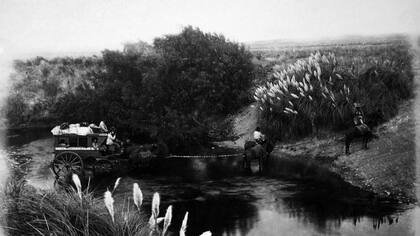 Antigua joya en la Wunderkammer