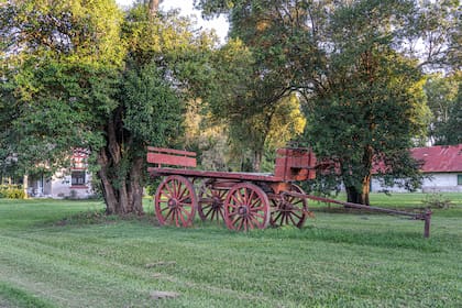 Antiguo carro de la estancia.