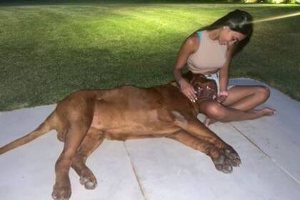 Antonela Roccuzzo se fotografió junto con Hulk, el Dogo de Burdeos de la familia Messi