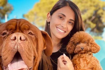 Antonela Roccuzzo sonríe a la cámara con dos de sus mascotas