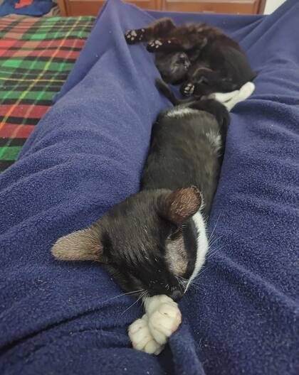 Antonia y Vida se criaron juntas.