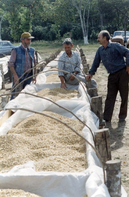 Antonio Ortiz (a la derecha) con sus hermanos Juan y José (circa 1973). Fueron pioneros del café en la Argentina, como parte del plan Salta Café.