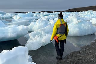 La bióloga marina que dedica su vida a contar sobre las ballenas del sur