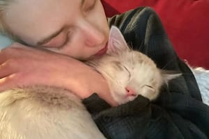 Anya Taylor-Joy adoptó a su gatito en 2022 (Foto: Instagram/@anyataylorjoy)