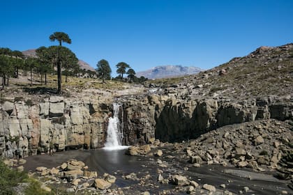 La cascada del Gigante, sorprendente formación, parte del circuito de las Siete Cascadas. 