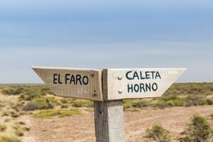 Patagonia: 7 razones para descubrir el primer parque nacional marino costero