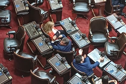 Apertura de sesiones legislativas
Facundo Manes