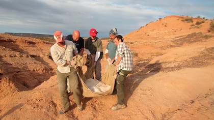 Apesteguía y otros miembros del equipo mueven el fósil