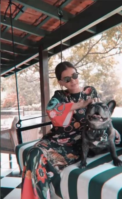 Apolo era el gran perro fiel de la China Suárez (Foto/Instagram: @sangrejaponesa)