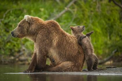 "Apoyado", del británico Andy Parkinson.