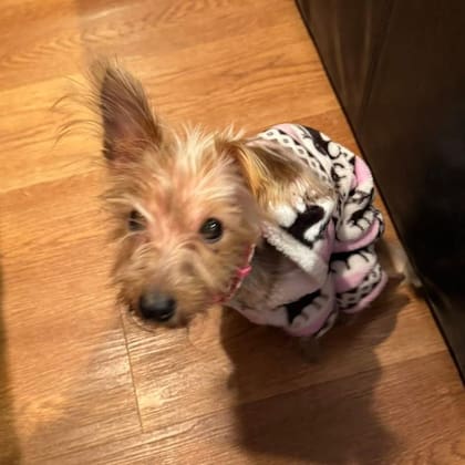 Apple estaba agradecida de haber sido rescatada.