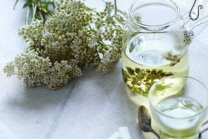 Aprendé a preparar el té como una experta