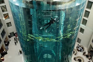 La historia del gigantesco acuario con un millón de litros de agua que estalló en un hotel en Berlín