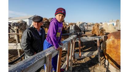 Kenzhibek y su hijo Ernur al lado de sus camellos en la aldea de Zhalanash, cerca del mar de Aral y con una población de 700 personas al suroeste de Kazajstán