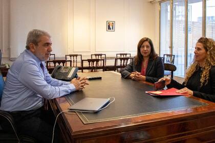 Arabela Carreras, durante la última reunión con el ministro Aníbal Fernández