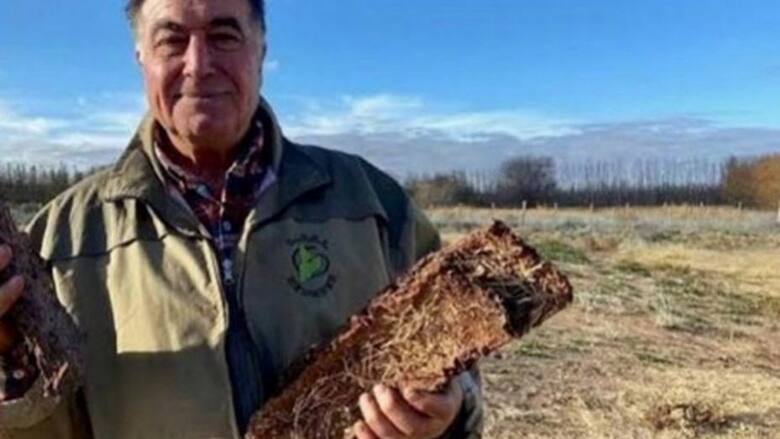 Es Argentino y sorprendió a todos al llevar un tradicional cultivo al corazón del desierto del Sáhara