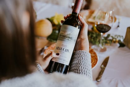 Araucana Azul, uno de los vinos ilustrados con los dibujos de Martens