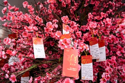 Árbol de cerezo para dejar deseos, ritual típico de la cultura china.