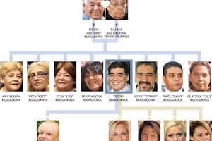 El árbol genealógico de la familia