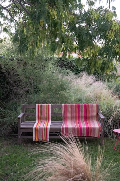 Arboles, arbustos y gramíneas como aliados para diseñar confort