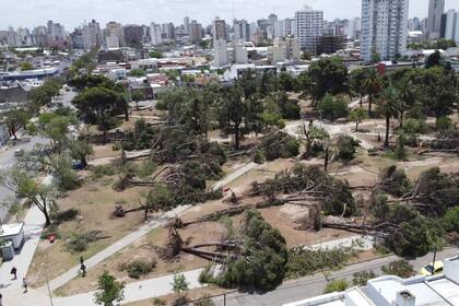 Arboles caídos en la Plaza Almirante Brown de Bahía Blanca por el intenso temporal del 16 de diciembre de 2023.
