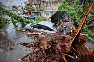 Cuántas familias cobraron el subsidio especial para damnificados por catástrofe meteorológica