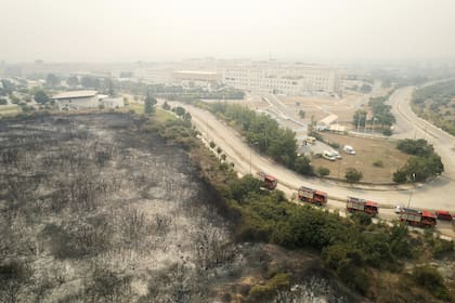 Árboles quemados se ven desde arriba cerca del hospital en la ciudad de Alexandroupolis, en la región nororiental de Evros, Grecia, martes, 22 de agosto de 2023. (AP Photo/Achilleas Chiras)