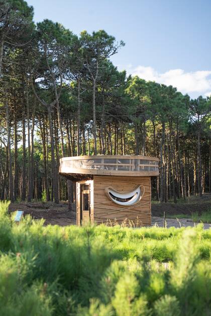 "Arbor de árbol”, de Donjo León, obra ganadora de la primera edición del Premio Pinamar Contemporáneo