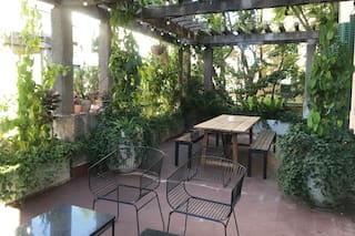 ¿Por qué estas plantas van a mejorar tu relación con los vecinos?