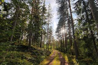 El futuro de las finanzas basado en la sustentabilidad