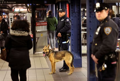 ARCHIVO - Los policías patrullan las estaciones de la ciudad de Nueva York. (AP Foto/Seth Wenig, archivo)