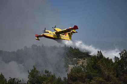 (ARCHIVO) Una imagen tomada el 24 de agosto de 2023 muestra un avión anfibio Canadair, lanzando agua sobre los incendios forestales que se extienden en el bosque de Dadia, cerca de Alexandroupoli, norte de Grecia, el 24 de agosto de 2023. (Foto de Sakis MITROLIDIS / AFP)