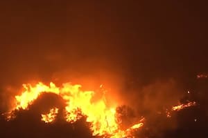 Arde el sur de Europa en medio de la ola de calor extremo