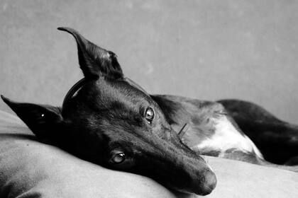 Arenales retratada por Clara de Estrada