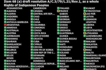 Argentina fue el único país de la ONU en votar contra una resolución sobre los derechos de los pueblos indígenas