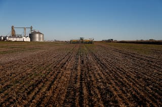Trigo y cebada: hoy, más que nunca, es necesario afinar el lápiz