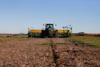 Manejo agronómico: cómo anticipar el riesgo y actuar en consecuencia
