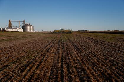 Hoy se está sembrando trigo y desde octubre próximo se hará con la soja