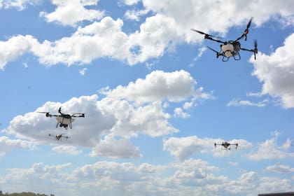 Argentina subió al puesto 11 en el ranking mundial de desarrollo de tecnología agrícola, según datos del INTA