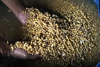 Argentina vuelve a aplicar impuestos a exportaciones granos y sus derivados: agencia fiscal argentina