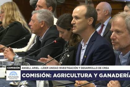 Ariel Angeli, representante de CREA en la sala mientras exponía