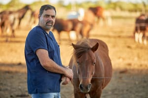 El veterinario que rompe las reglas y les da una vida digna a los caballos maltratados