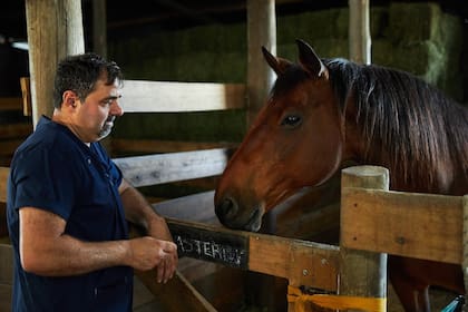 Ariel Corsé es veterinario y ayuda a caballos que fueron maltratados