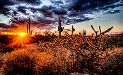 Arizona cuenta con todo tipo de actividades para disfrutar del Memorial Day en familia. Foto: Unsplash