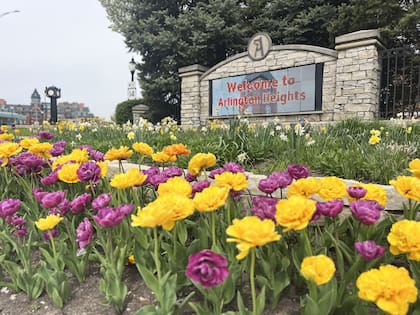 Arlington Heights se posicionó como el mejor suburbio de Illinois para vivir en 2025 y 2026