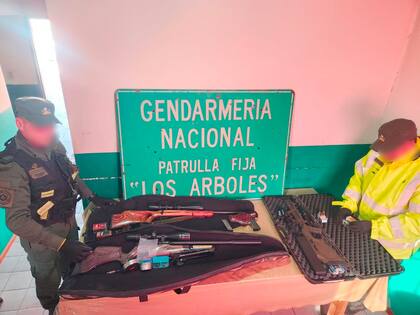 Armas y municiones incautadas por Gendarmería en Mendoza