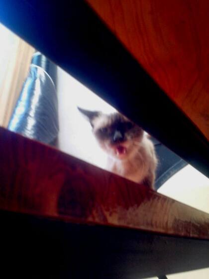 Armonía muy cerca. Solo para valientes.