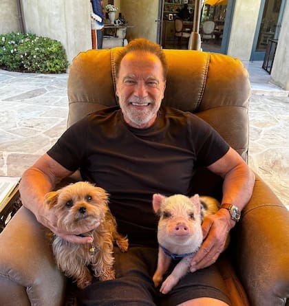Arnold Schwarzenegger con dos de sus mascotas
