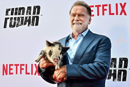 Arnold Schwarzenegger fue el protagonista de la avant premiere de la segunda temporada de su serie Fubar, y posó junto a su original mascota: un cerdito llamado Arnold Snortznegger