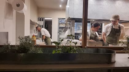 Aromáticas y otros vegetales junto a la cocina del restaurante Horta, en Villa Crespo